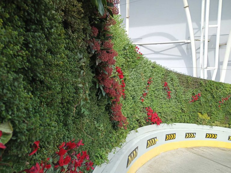 Ecosquare Greenwall