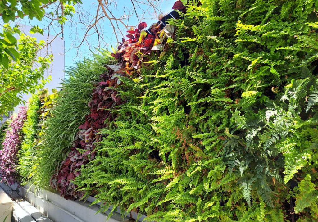 Green Wall Services