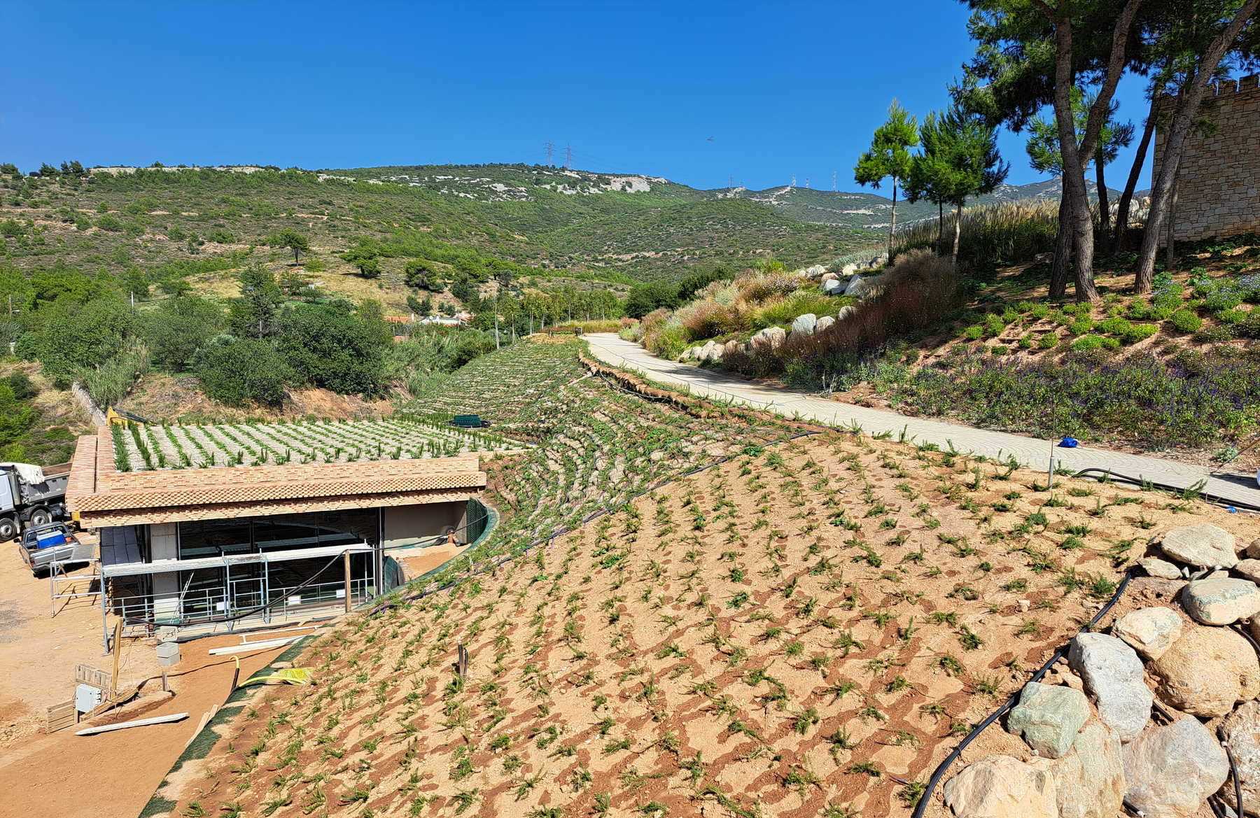 Είδη Φυτεμένων Δωμάτων