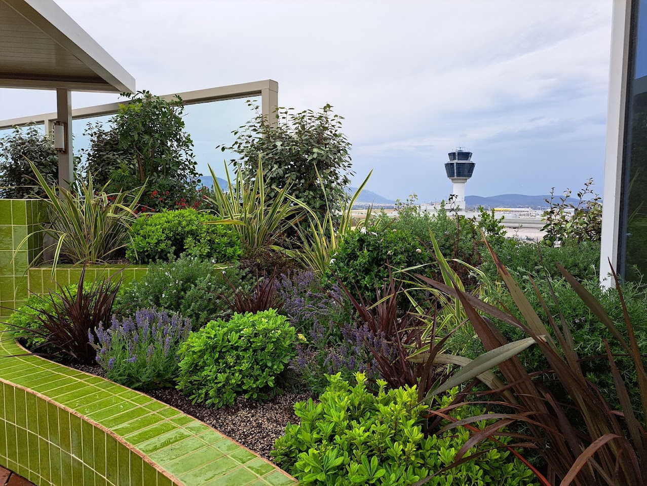 Green Roof Maintenance