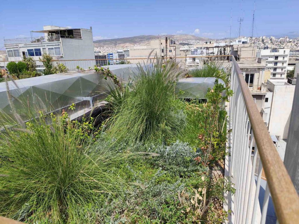 Συντήρηση Φυτεμένου Δώματος