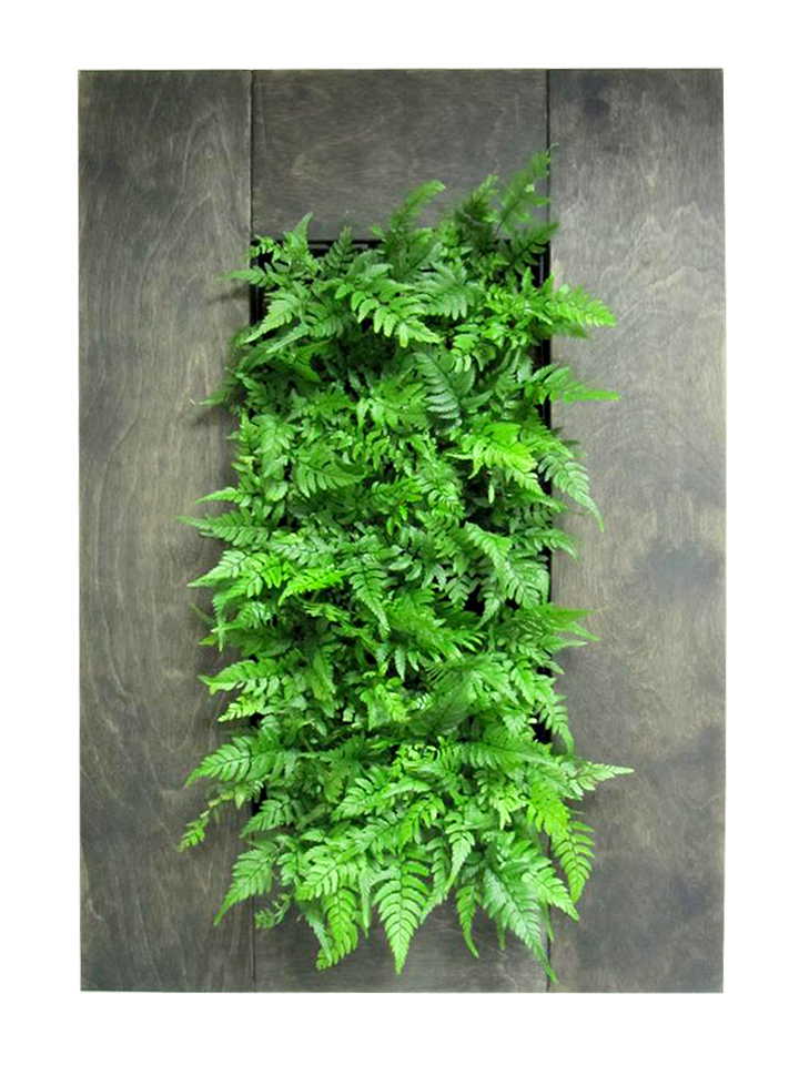 EcoSquare-Κάθετο πράσινο που μεταμορφώνει τον χώρο