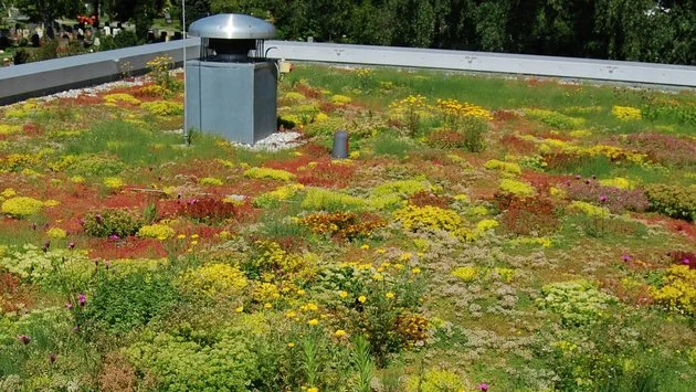 Meander GARDEN