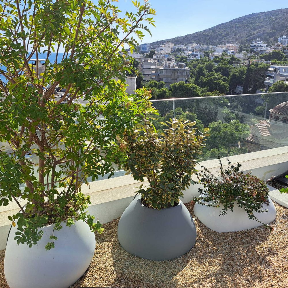 GREEN-ROOF-GLITSOS-nature-photo-05