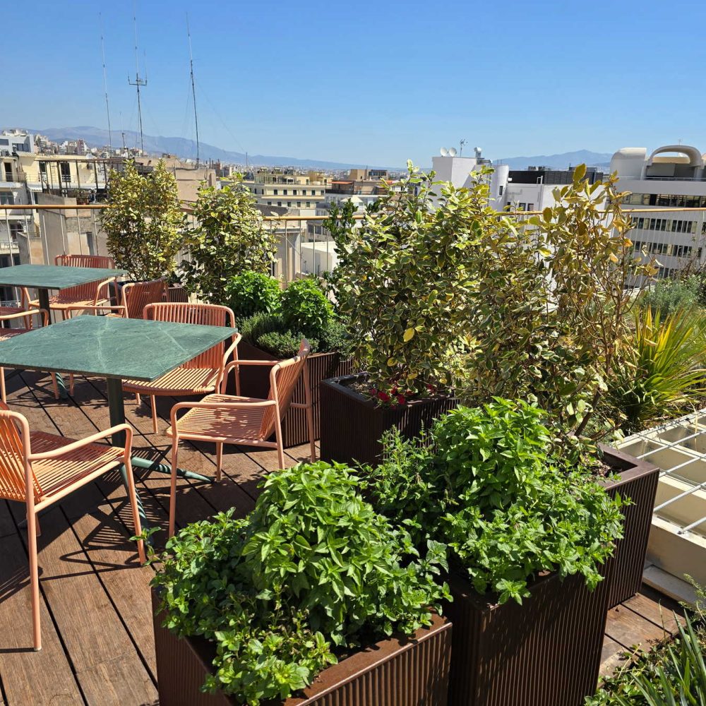 GREEN-ROOF-MITSIS-NU-PEIRAIAS-nature-photo-17